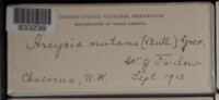 Image Associated With the Occurence